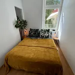 Miete 2 Schlafzimmer wohnung von 45 m² in Dresden