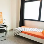 Rent a room in cagliari