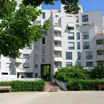 Rent 1 bedroom apartment of 32 m² in DIJON