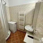 Rent 1 bedroom apartment of 27 m² in Brno