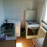 Rent 1 bedroom apartment in Lovnic