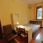 Rent a room in padua