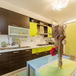 Rent 4 bedroom apartment of 120 m² in Milan