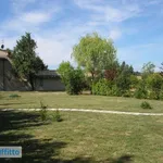 Rent 3 bedroom apartment of 74 m² in Perugia