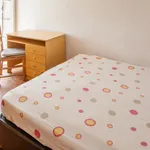 Alugar 6 quarto apartamento em Coimbra