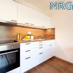 Rent 1 bedroom apartment in Capital City of Prague