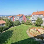 Rent 1 bedroom apartment of 34 m² in Brno