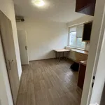 Rent 2 bedroom apartment of 100 m² in Ostrava