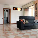 Rent 3 bedroom apartment of 100 m² in Garbagnate Milanese