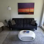 Rent 1 bedroom apartment of 44 m² in Dusseldorf