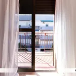 Rent 2 bedroom apartment of 10 m² in Seville