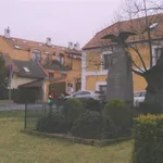 Rent 4 bedroom apartment of 110 m² in Capital City of Prague