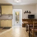 Rent 2 bedroom apartment of 70 m² in florence