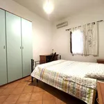 Rent 1 bedroom apartment of 50 m² in catanzaro