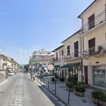 Affitto 3 camera appartamento di 80 m² in Viareggio