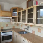 Rent 2 bedroom apartment of 48 m² in Zlín