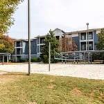 Rent 1 bedroom apartment in Auburn