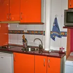 Rent 1 bedroom apartment of 50 m² in Malaga']