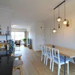 Rent 1 bedroom apartment in brussels