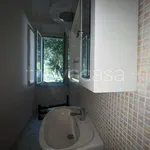 Rent 2 bedroom apartment of 50 m² in Cervaro