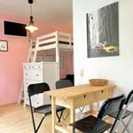 Rent 1 bedroom apartment of 31 m² in Dresden