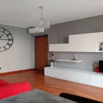 Rent 1 bedroom apartment in Milan