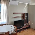 Rent 3 bedroom apartment of 75 m² in Каменица 2