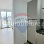 2-room flat Tigrotti snc, Santissimi Apostoli, Busto Arsizio