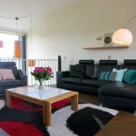 Rent 4 bedroom apartment of 140 m² in Kortenbos