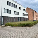 Huur 2 slaapkamer appartement in Schoten