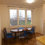 Rent 2 bedroom apartment of 62 m² in České Budějovice