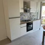 Rent 2 bedroom apartment of 55 m² in Roma