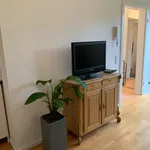 Rent 1 bedroom apartment of 30 m² in Düsseldorf