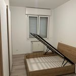 Rent 3 bedroom apartment in Padua