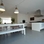 Rent 5 bedroom house of 162 m² in Eindhoven