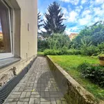 Rent 2 bedroom apartment of 48 m² in Brno