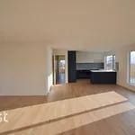 Rent 2 bedroom house in Opossum Bay