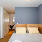 Rent 2 bedroom apartment in Praha 2