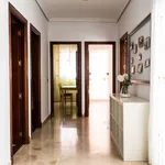 Alquilo 3 dormitorio apartamento de 11 m² en Seville