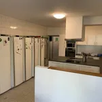 Rent 1 bedroom apartment in Liège