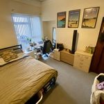 Rent 6 bedroom flat in Wales