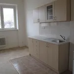 Rent 1 bedroom apartment of 45 m² in Brno