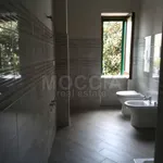 Rent 3 bedroom apartment of 100 m² in Caserta