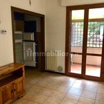 Rent 3 bedroom apartment of 65 m² in Pisa