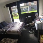 Rent 1 bedroom flat in Charnwood