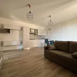 Rent 2 bedroom apartment of 52 m² in Fiorenzuola d'Arda