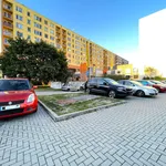 Rent 2 bedroom apartment of 47 m² in Ostrava