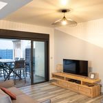 Rent 1 bedroom apartment in TROIS-BASSINS