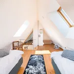 Rent 4 bedroom apartment of 72 m² in Potsdam