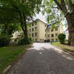 Rent 1 bedroom apartment in Essen